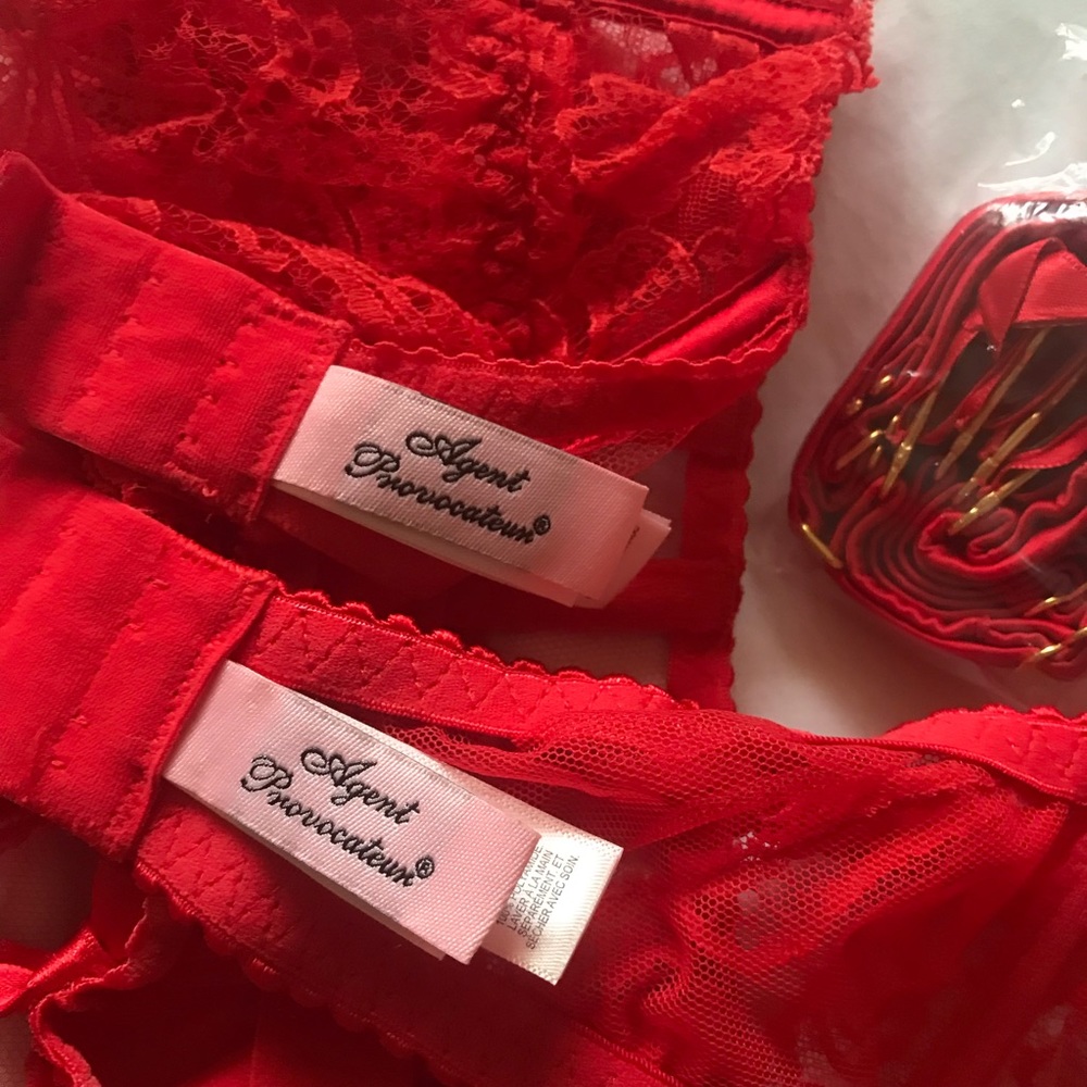 SOLD // AP Rozlyn SET Knickers Forever Bra (32DD) & Suspender Thong (2) w Straps - Picture 6 of 8